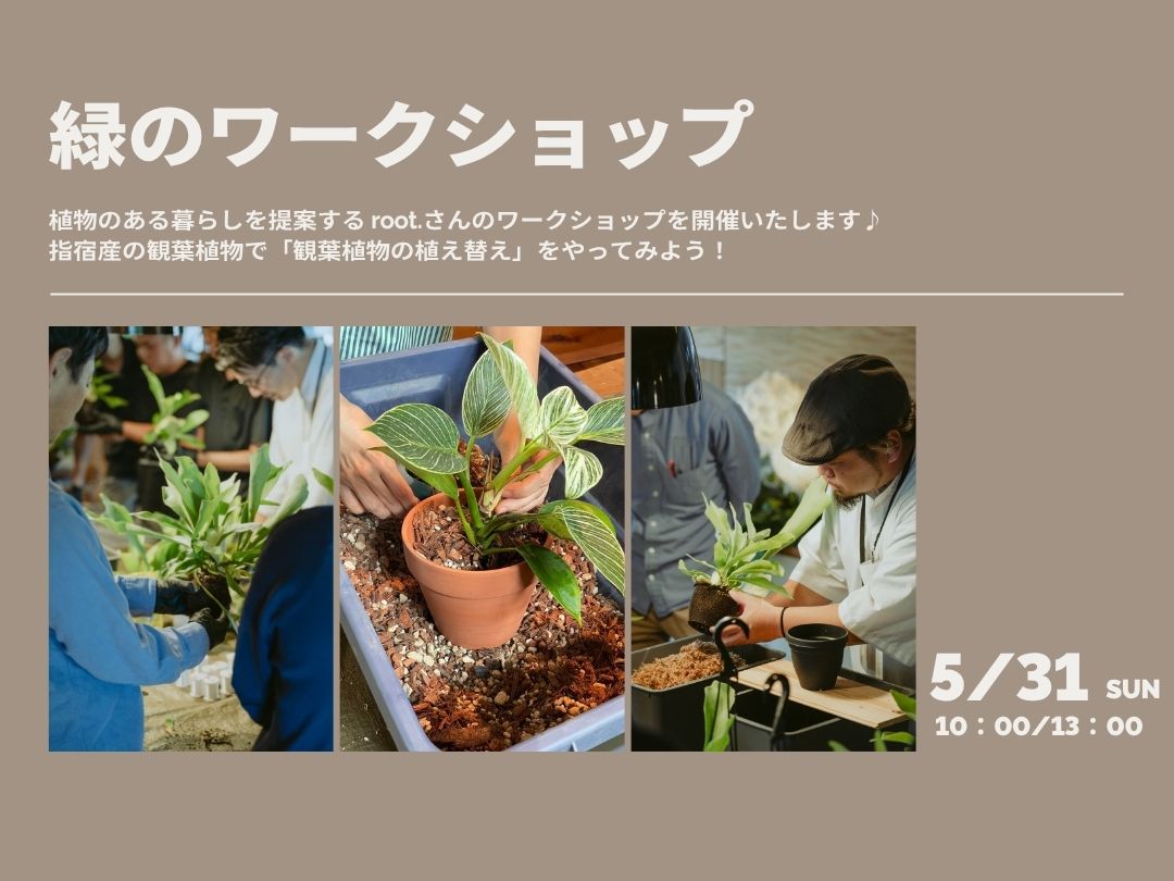 鹿児島市向陽にて「緑のワークショップ」を開催【5/31】