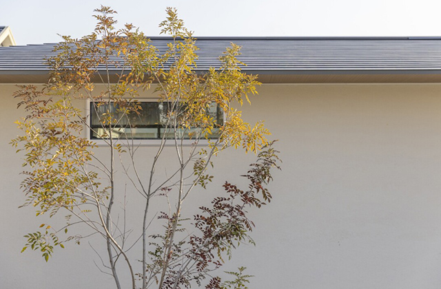 窓 - 施工事例 - チェックハウスプラス