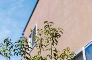 外壁 - 施工事例 - チェックハウスプラス