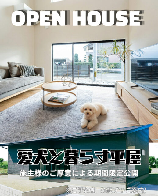 鹿児島市大明丘にて「愛犬と暮らす平屋の家」の完成見学会【5/15-6/14】