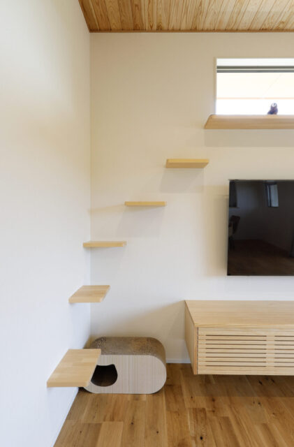 白壁と青空に映える中庭があるプライバシーと開放感を両立した和モダン平屋 - marukawa - リビング