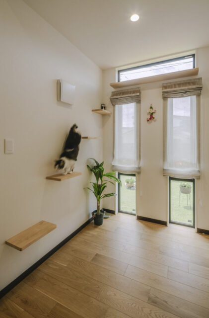 愛猫と庭を眺めて暮らす趣味を謳歌する平屋 - NEOデザインホーム - キャットウォーク